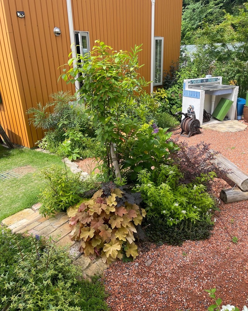 f:id:zappa38:20230527203244j:image