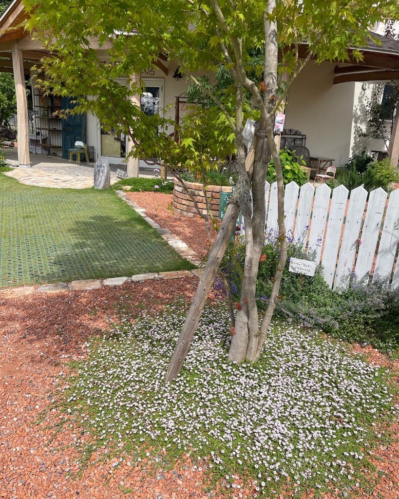 f:id:zappa38:20230527203250j:image