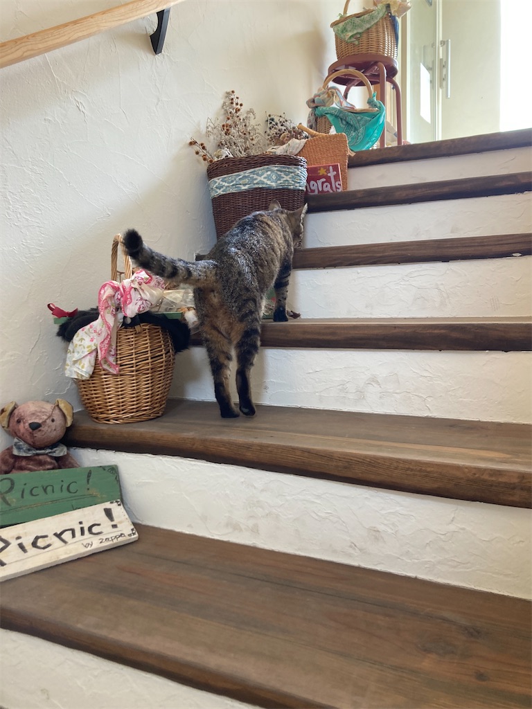 f:id:zappa38:20230606112331j:image