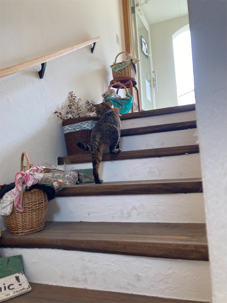 f:id:zappa38:20230606112344j:image