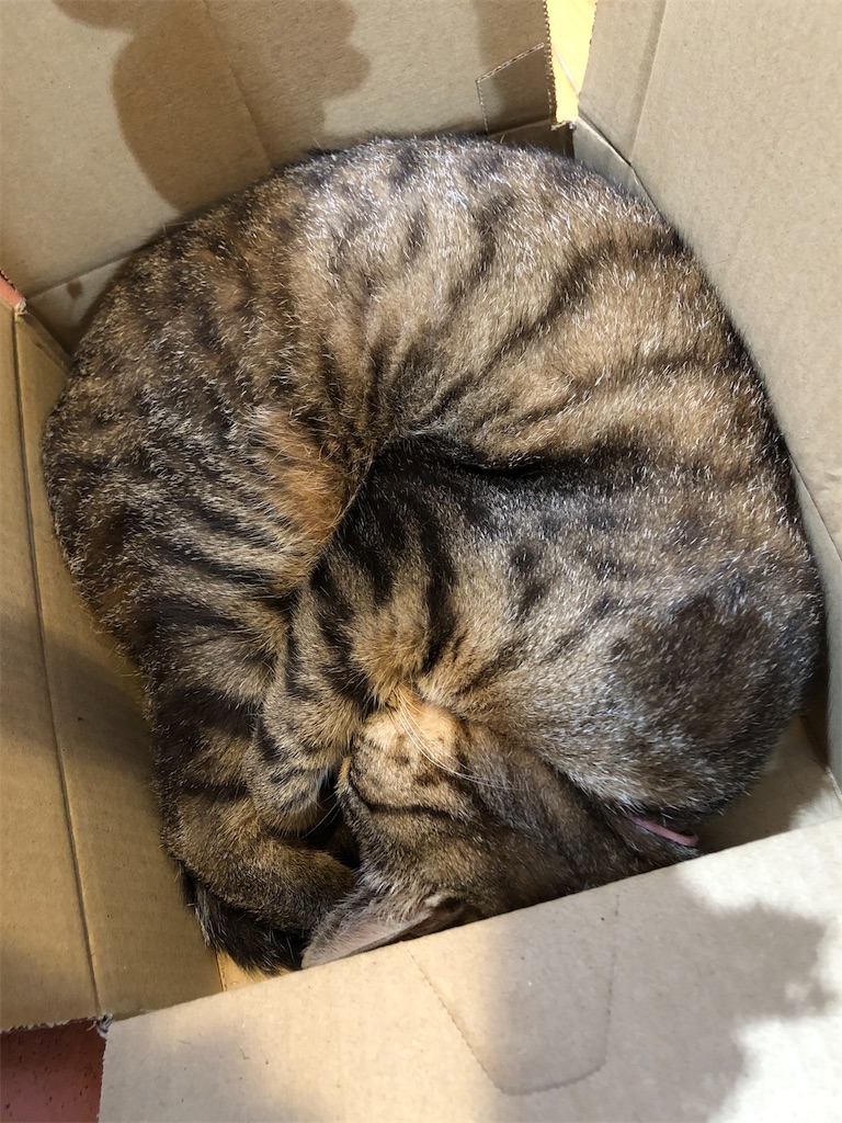 f:id:zappa38:20230612144807j:image