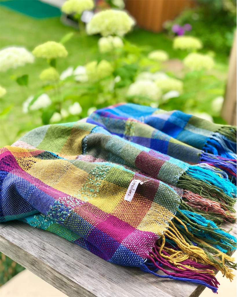 f:id:zappa38:20230616093340j:image