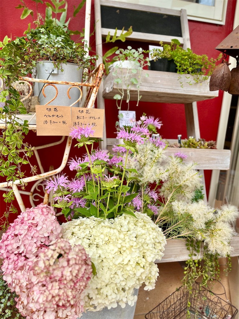 f:id:zappa38:20230617062848j:image