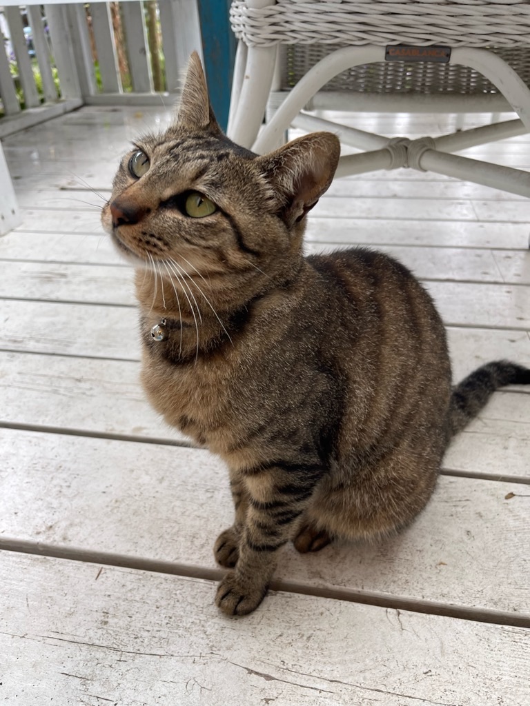 f:id:zappa38:20230622171845j:image