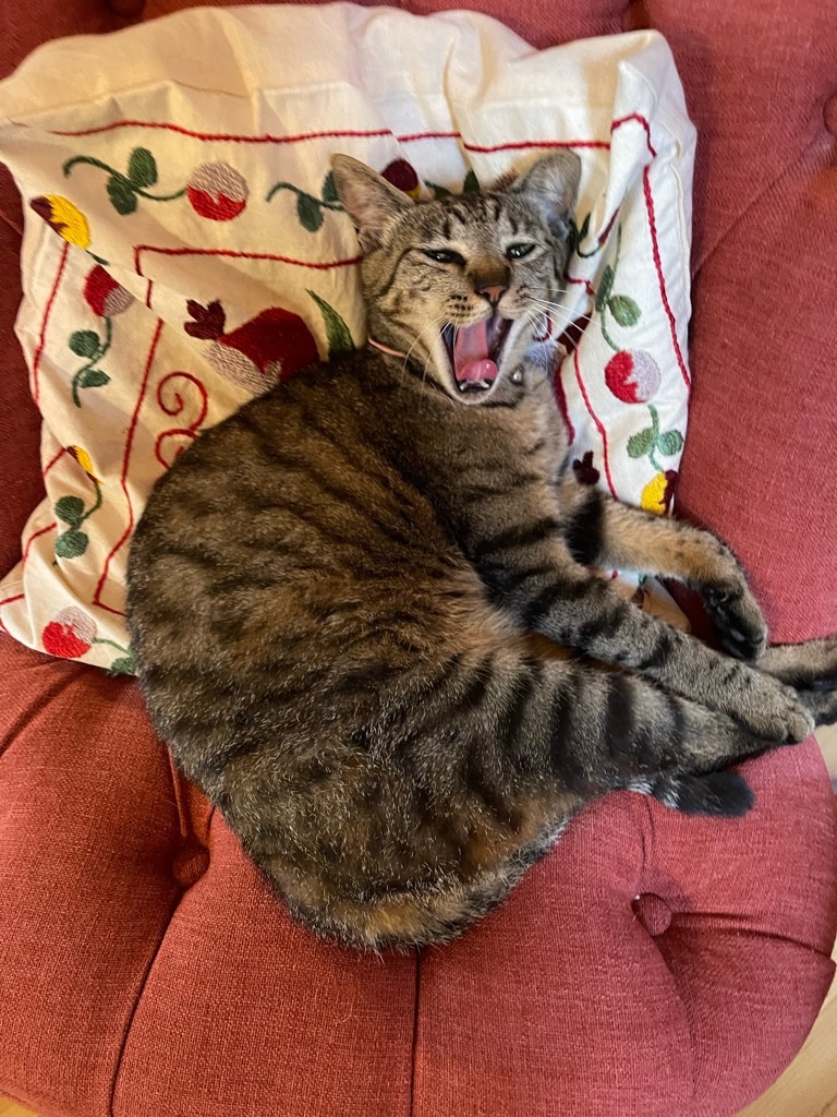 f:id:zappa38:20230622171851j:image