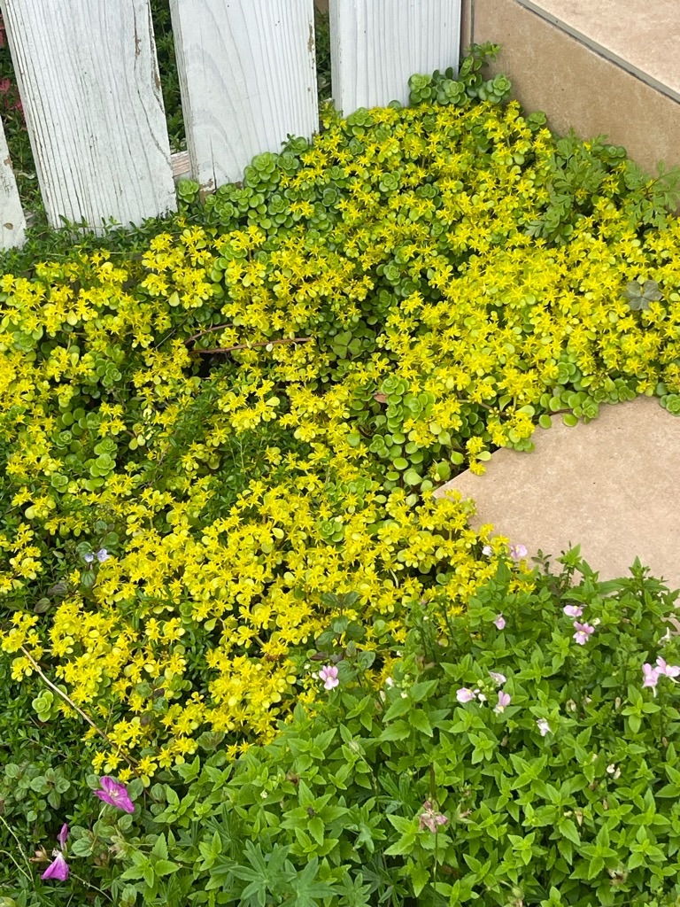 f:id:zappa38:20230623195904j:image