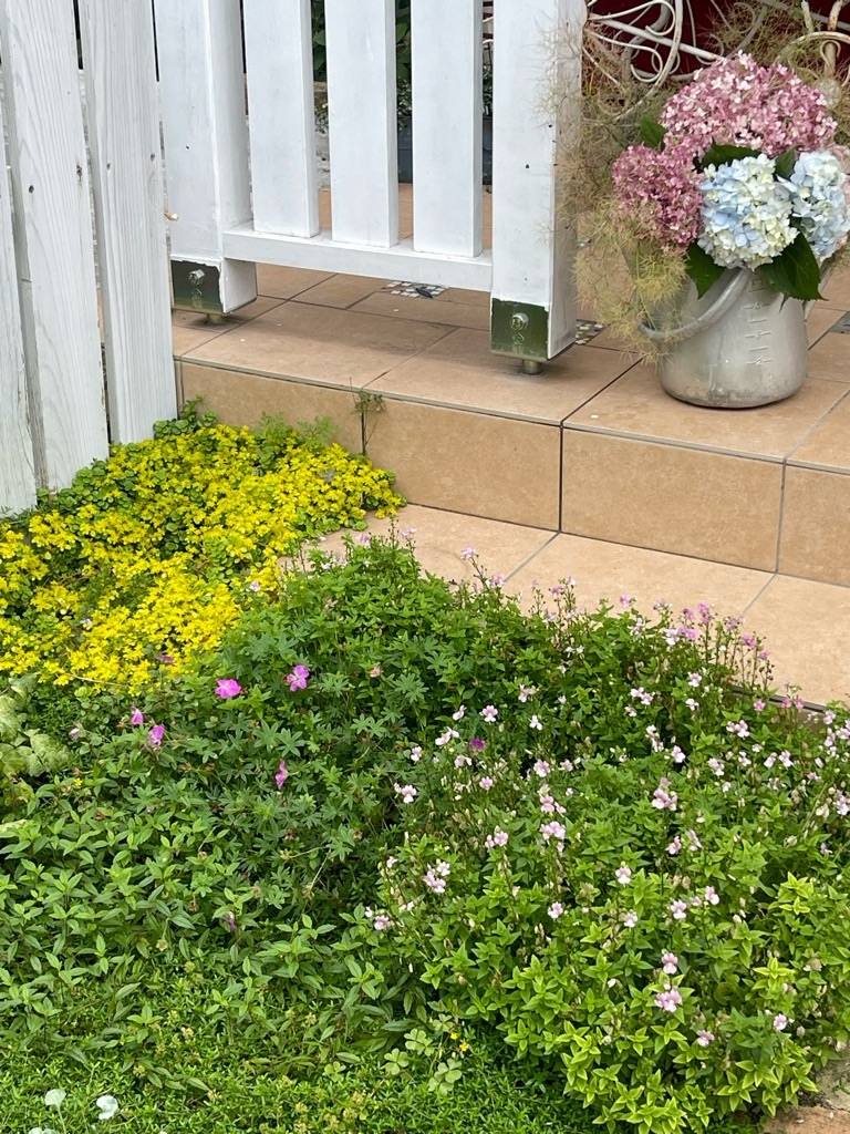 f:id:zappa38:20230623195942j:image