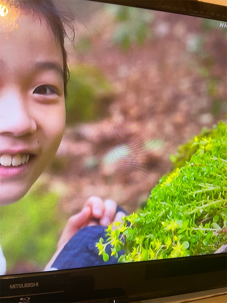 f:id:zappa38:20230623205107j:image