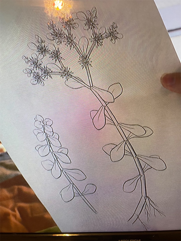 f:id:zappa38:20230623205111j:image