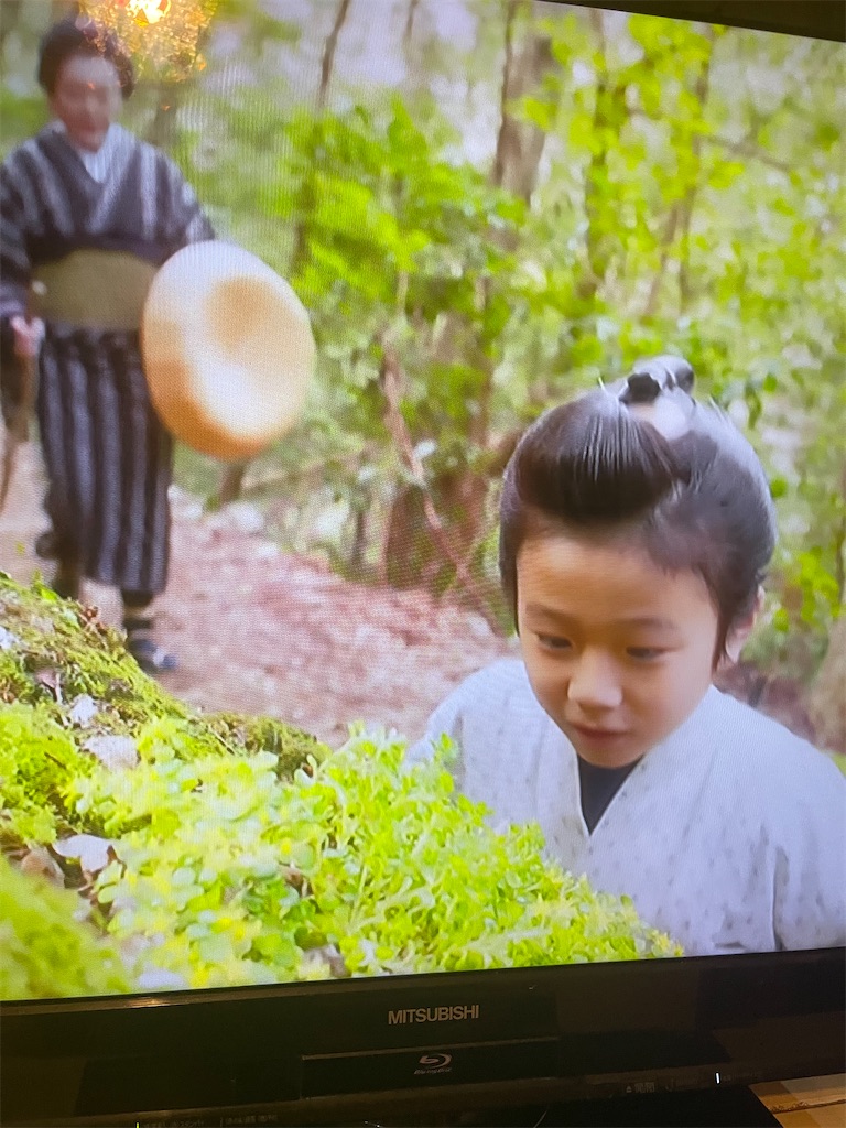 f:id:zappa38:20230623205114j:image