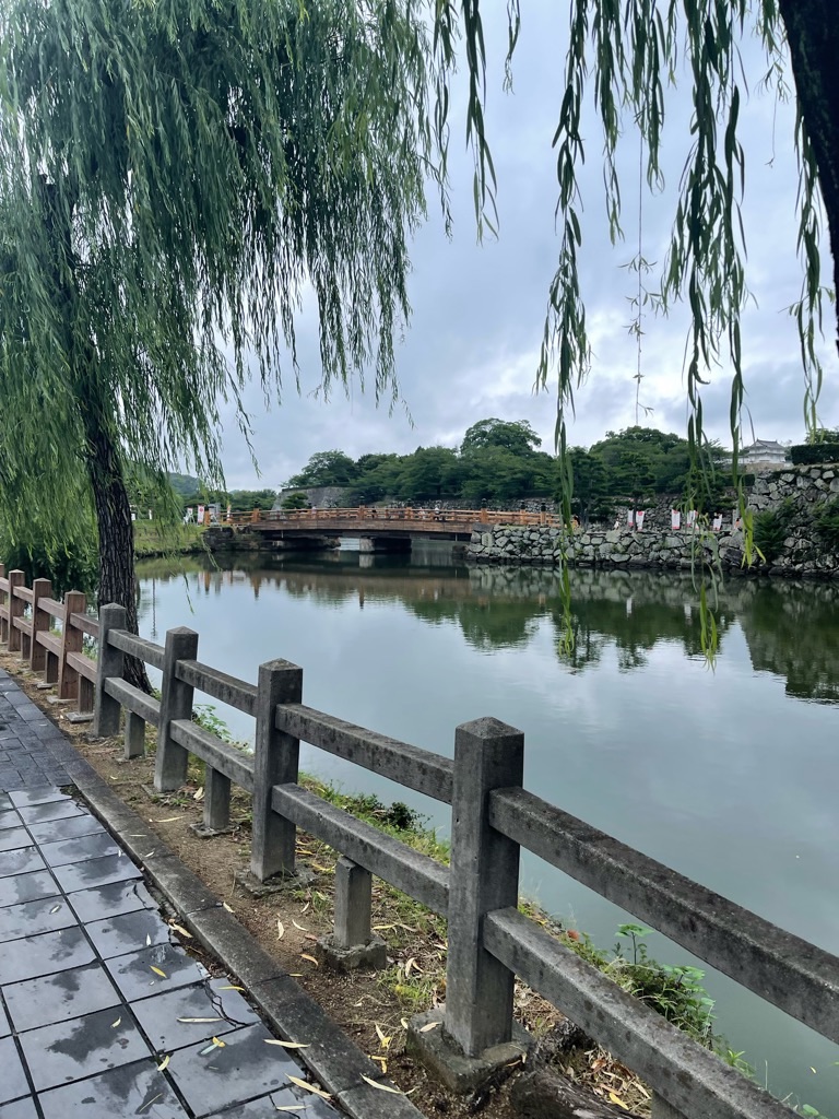 f:id:zappa38:20230701194823j:image