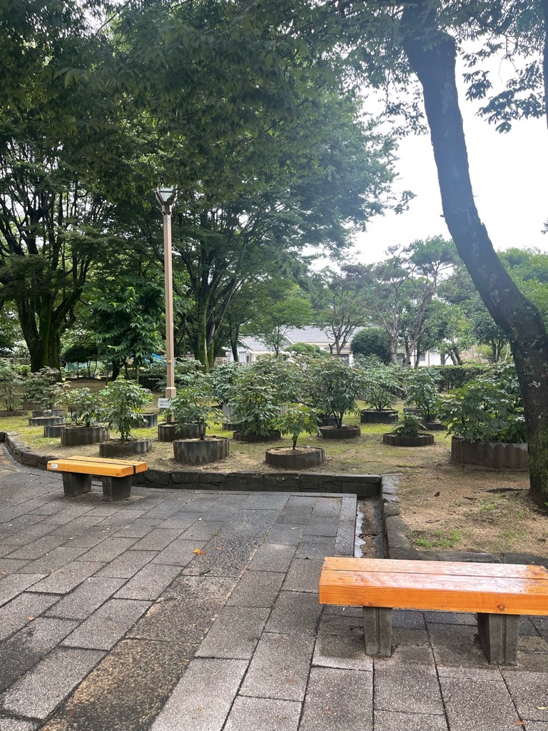 f:id:zappa38:20230701194826j:image