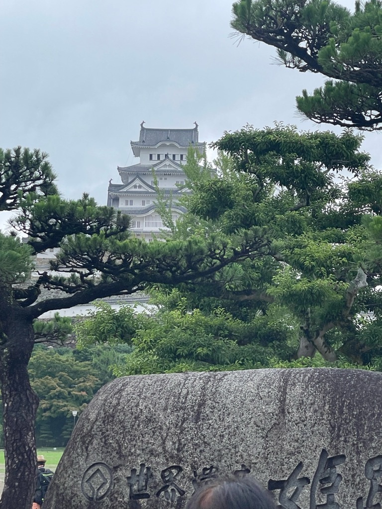 f:id:zappa38:20230701194854j:image