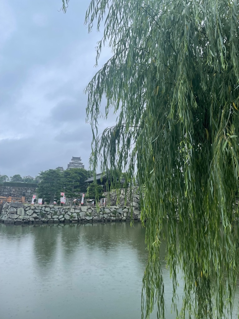 f:id:zappa38:20230701194916j:image