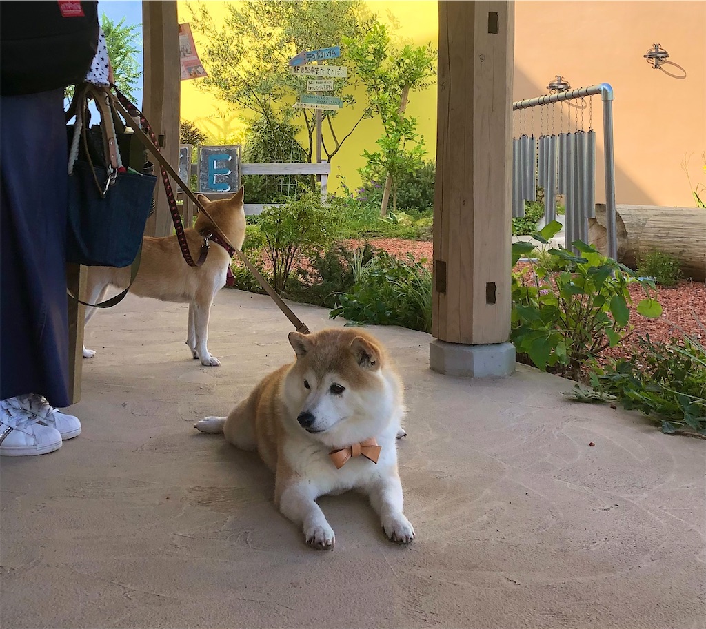 f:id:zappa38:20230715170618j:image