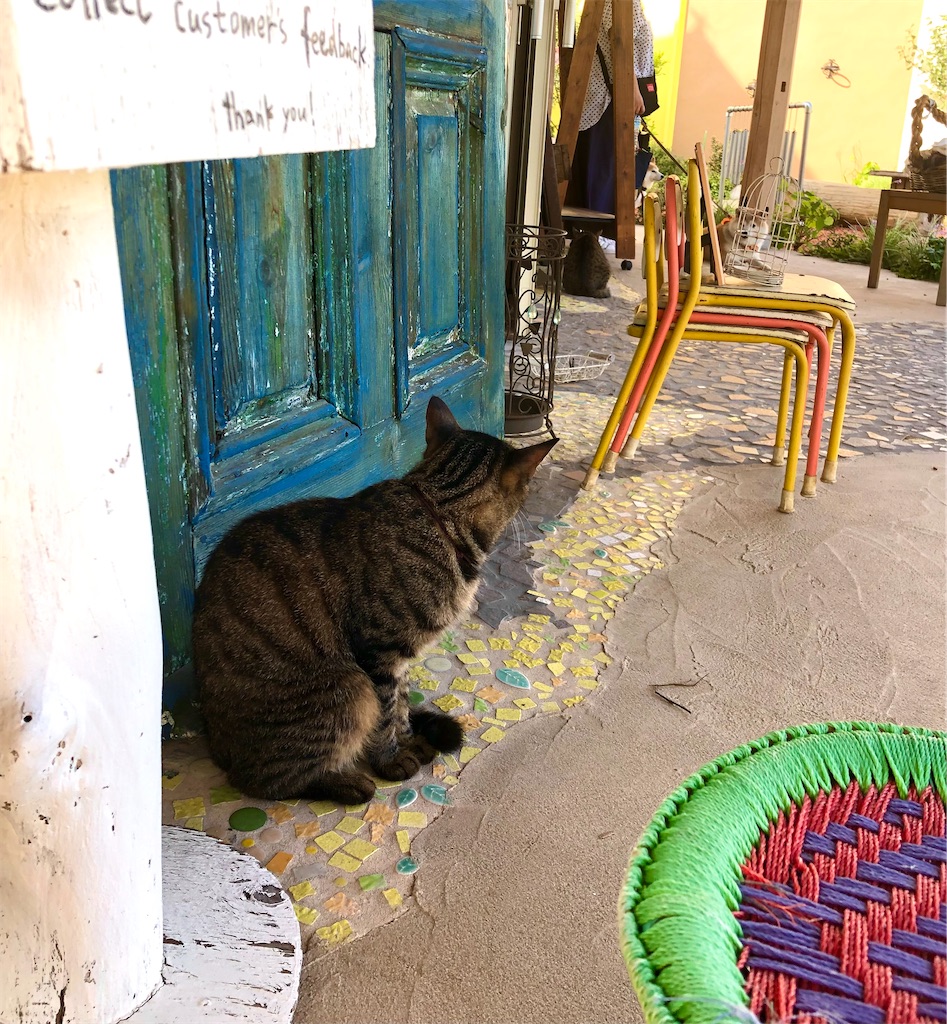 f:id:zappa38:20230715170634j:image