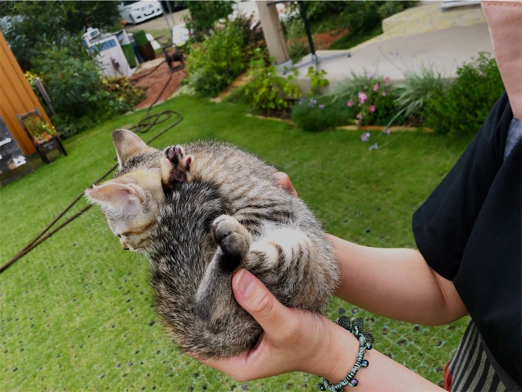 f:id:zappa38:20230716090200j:image