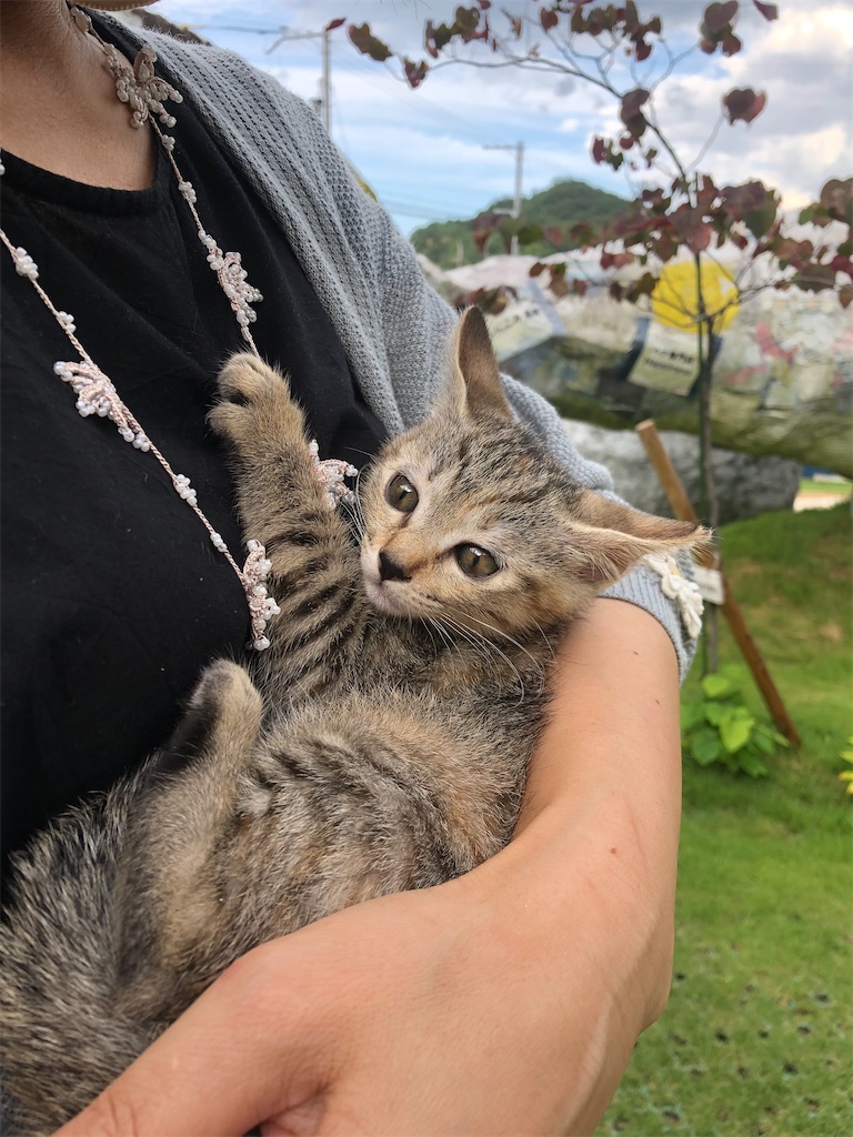 f:id:zappa38:20230716090206j:image