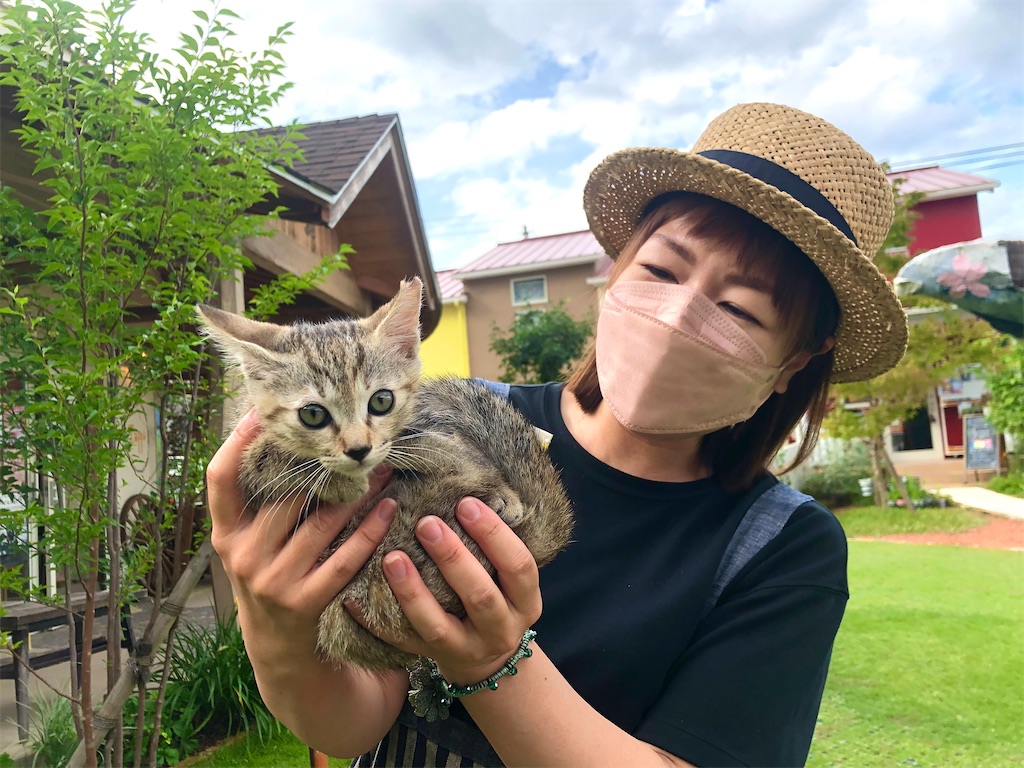 f:id:zappa38:20230716090209j:image