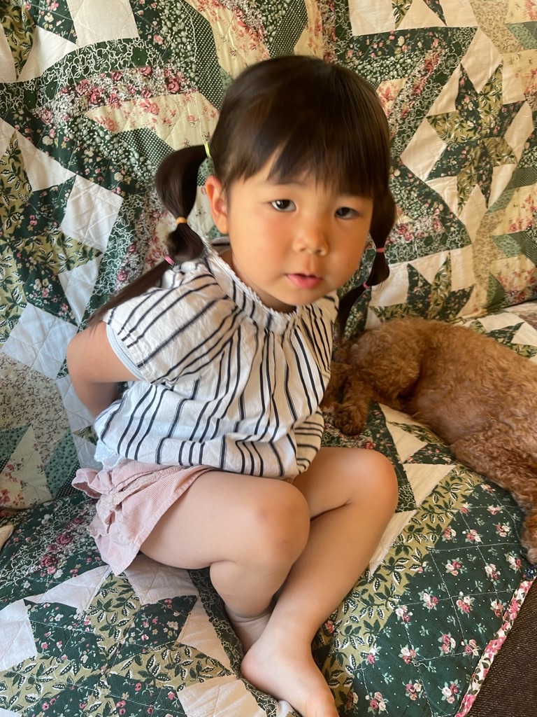 f:id:zappa38:20230718204231j:image f:id:zappa38:20230718204231j:image