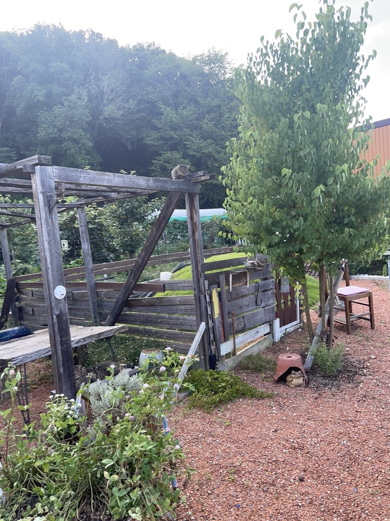 f:id:zappa38:20230718204935j:image f:id:zappa38:20230718204935j:image