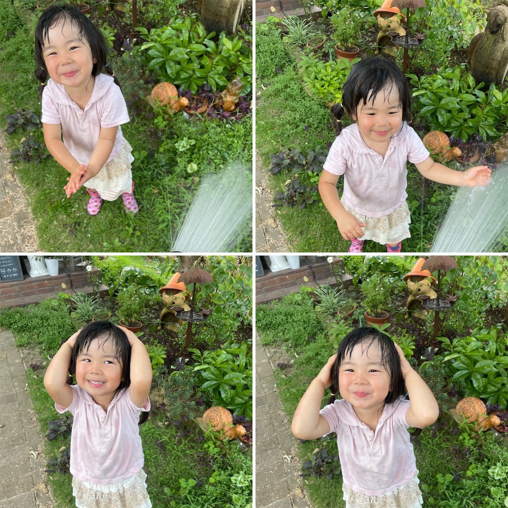 f:id:zappa38:20230718204937j:image f:id:zappa38:20230718204937j:image