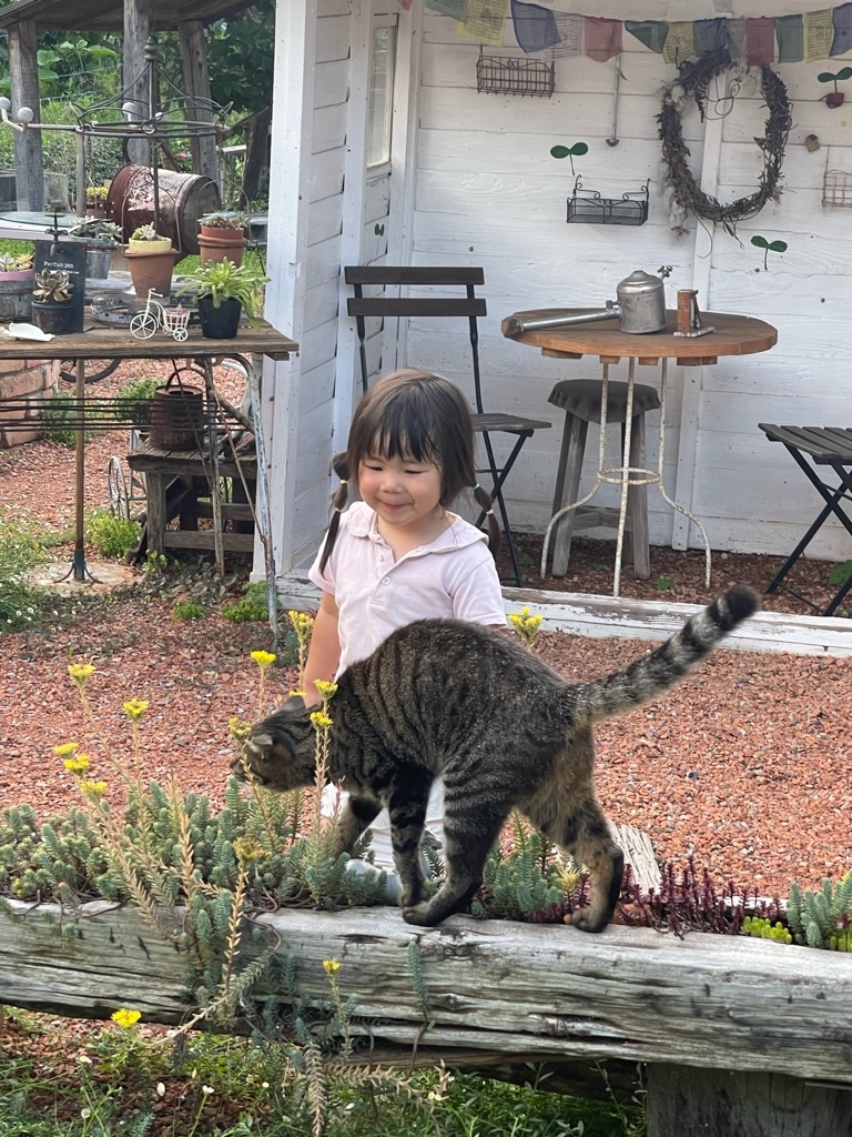 f:id:zappa38:20230718204946j:image f:id:zappa38:20230718204946j:image