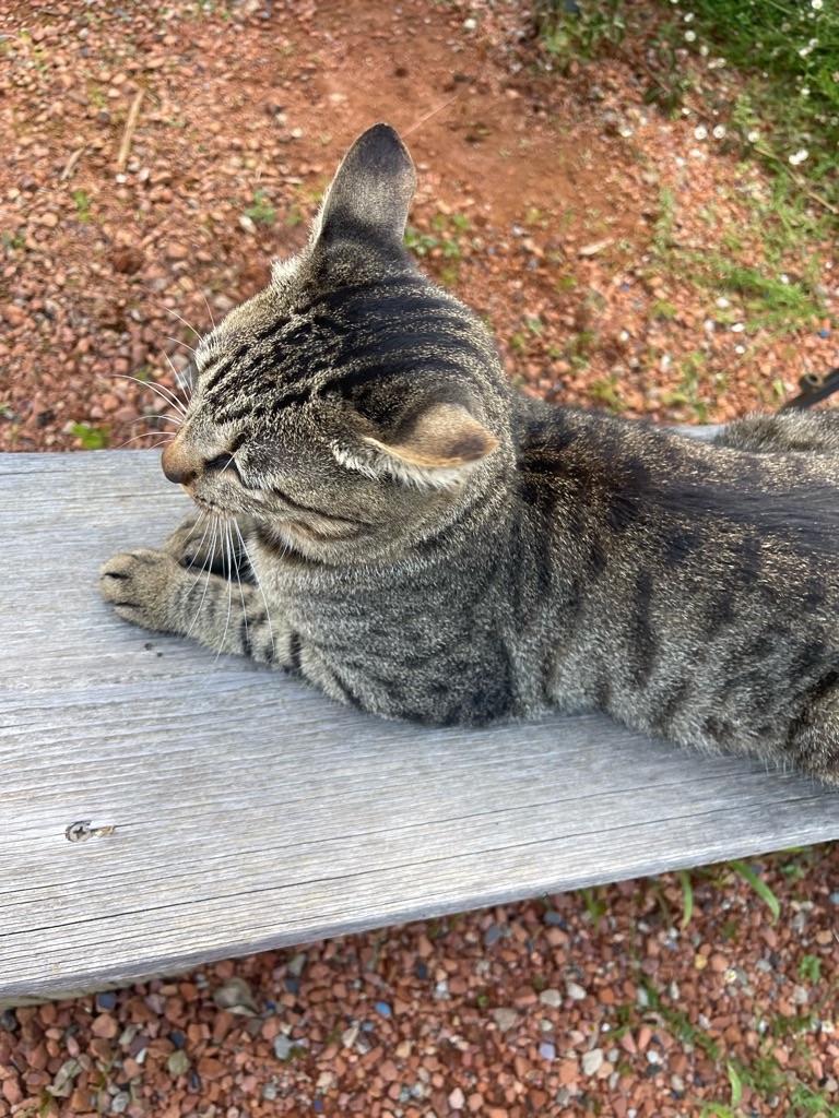 f:id:zappa38:20230718204951j:image f:id:zappa38:20230718204951j:image