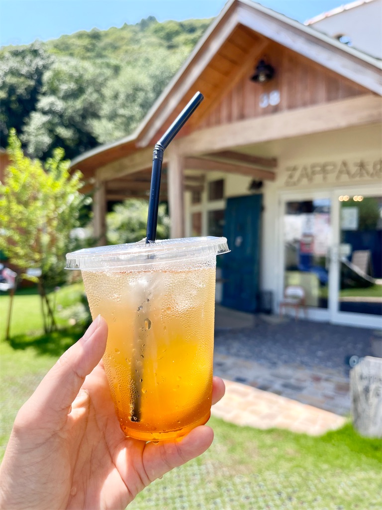 f:id:zappa38:20230722233540j:image