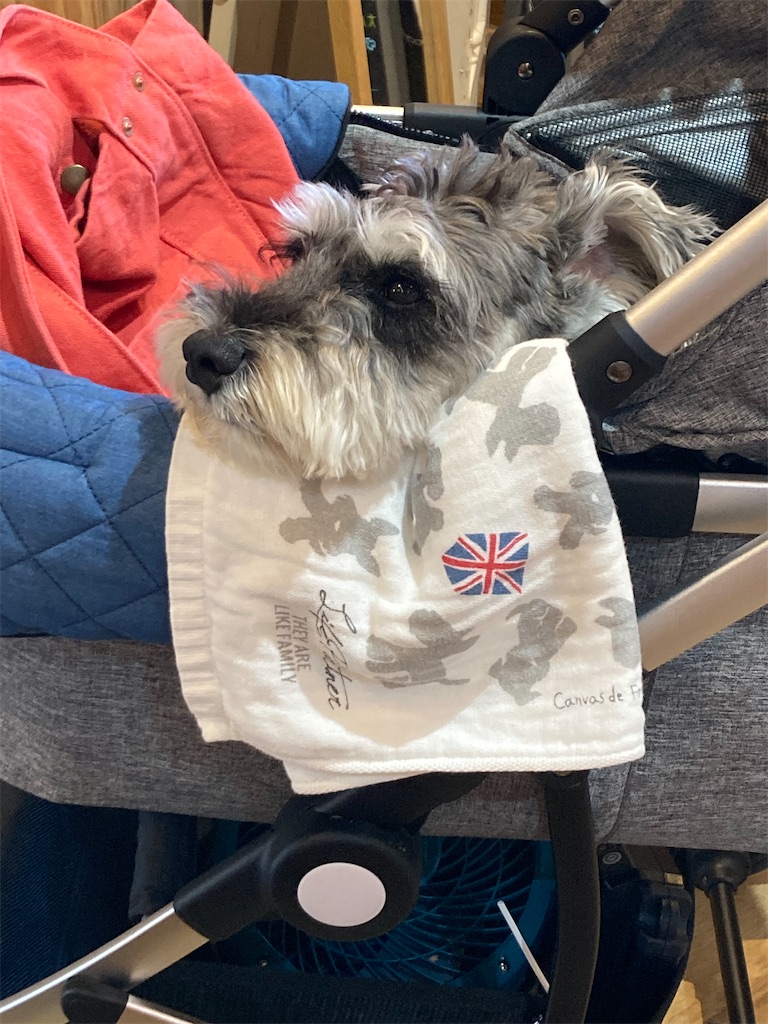 f:id:zappa38:20230729164832j:image