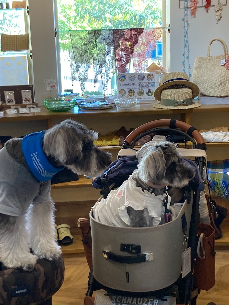 f:id:zappa38:20230729164835j:image