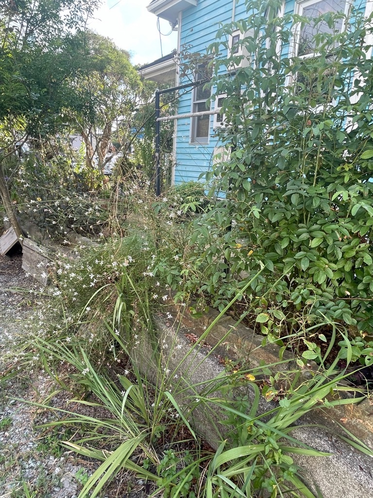 f:id:zappa38:20230806202841j:image