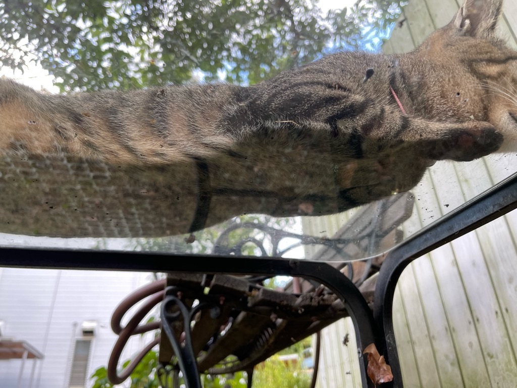 f:id:zappa38:20230806202844j:image