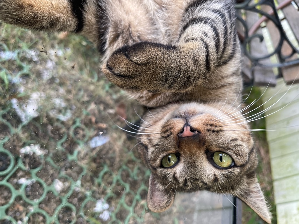 f:id:zappa38:20230806202848j:image