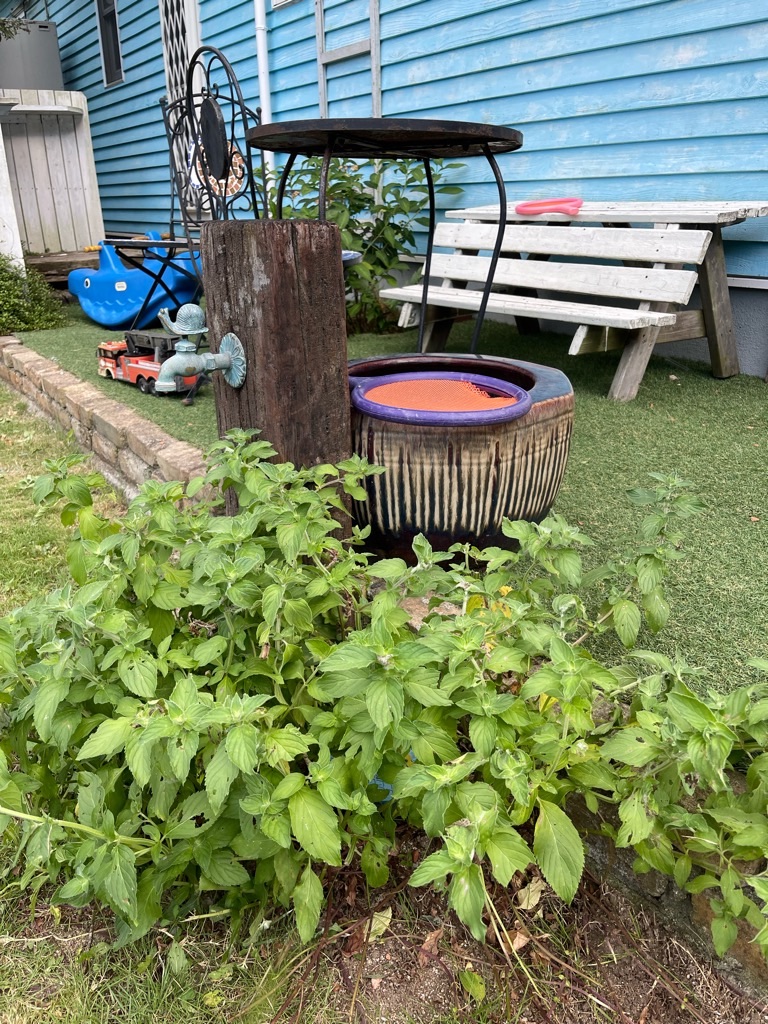 f:id:zappa38:20230806202914j:image