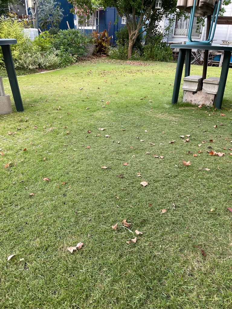 f:id:zappa38:20230806202939j:image