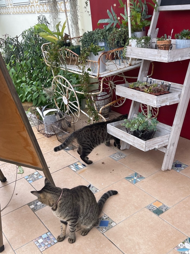 f:id:zappa38:20230807193542j:image