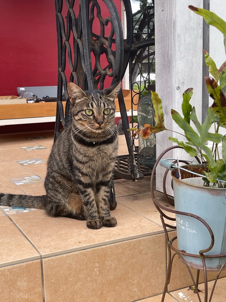 f:id:zappa38:20230807193552j:image