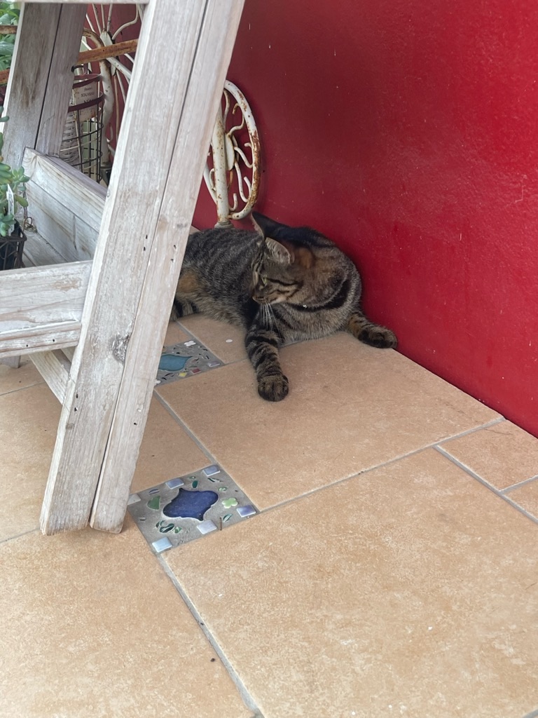 f:id:zappa38:20230807193555j:image