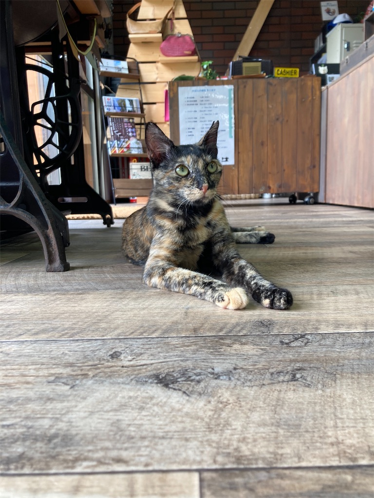 f:id:zappa38:20230808001327j:image