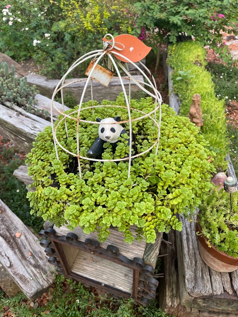 f:id:zappa38:20230808200654j:image