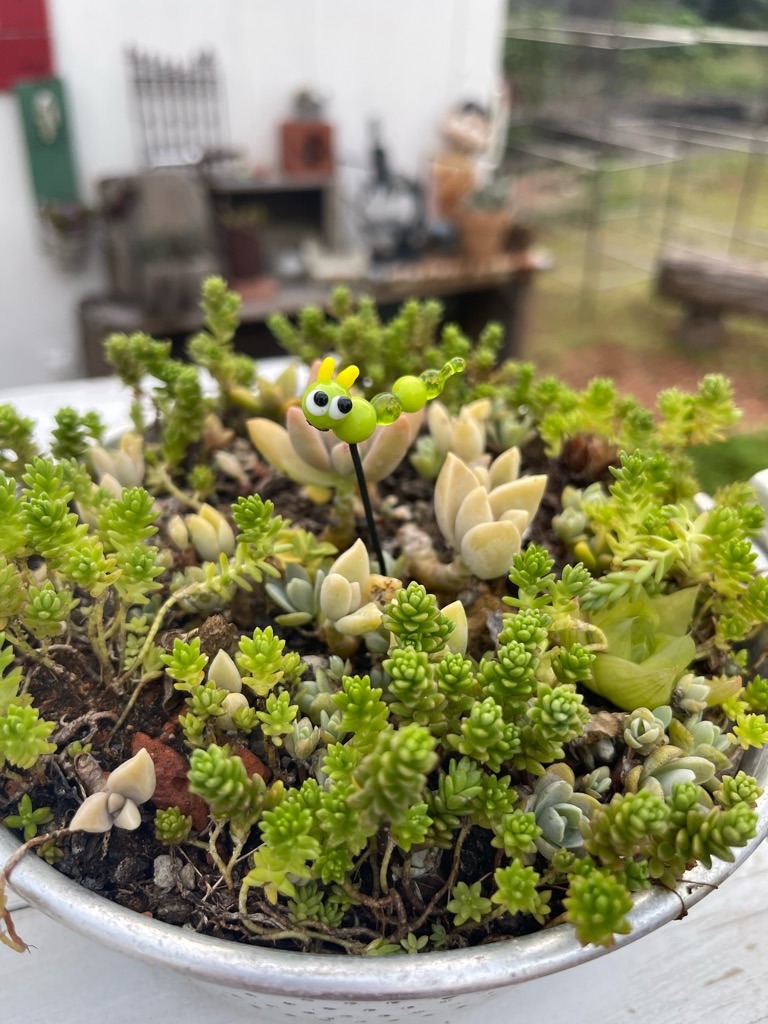 f:id:zappa38:20230808200707j:image