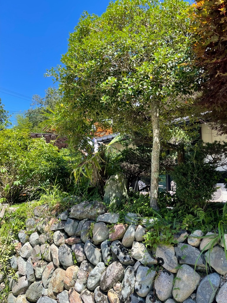 f:id:zappa38:20230813194801j:image