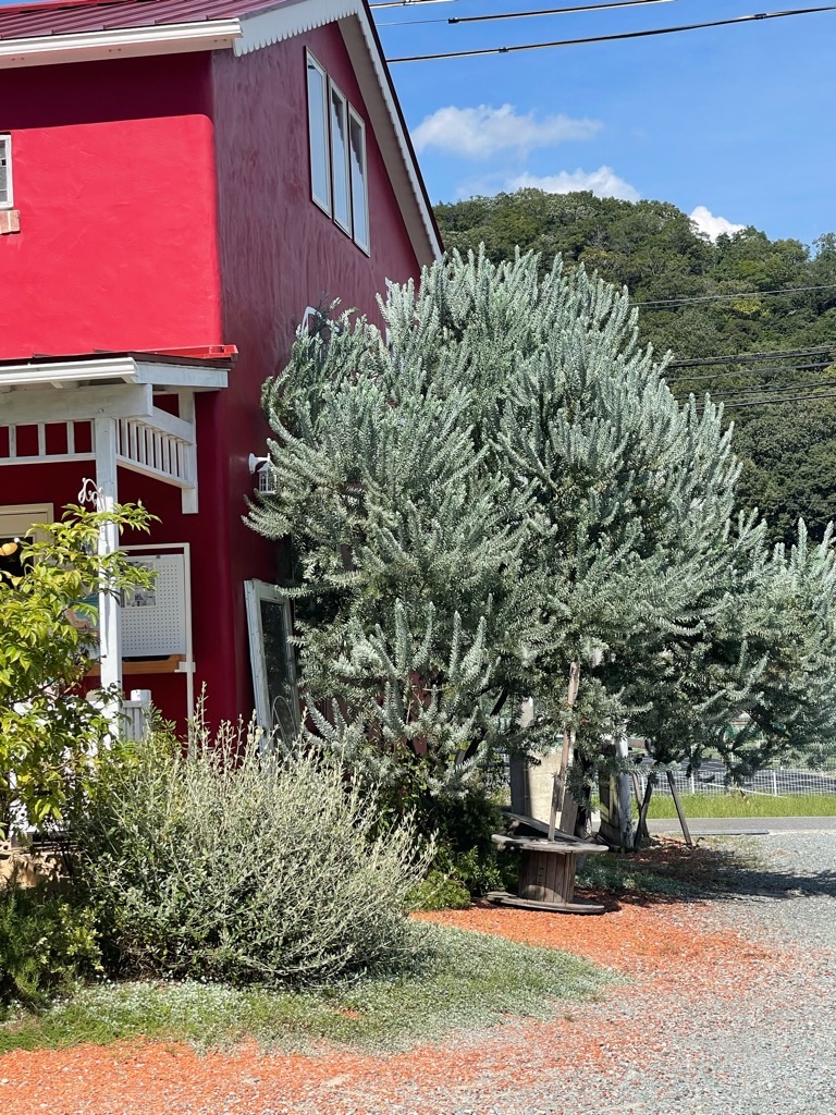 f:id:zappa38:20230828173444j:image