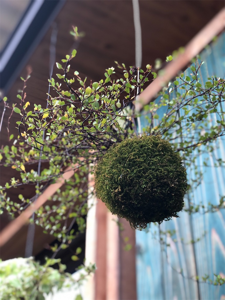 f:id:zappa38:20230901154630j:image