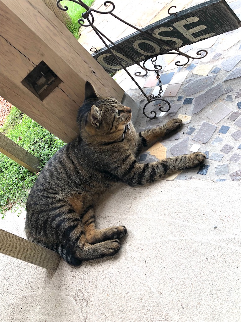 f:id:zappa38:20230910163623j:image