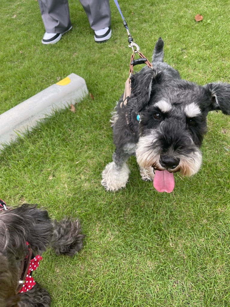 f:id:zappa38:20230914201429j:image