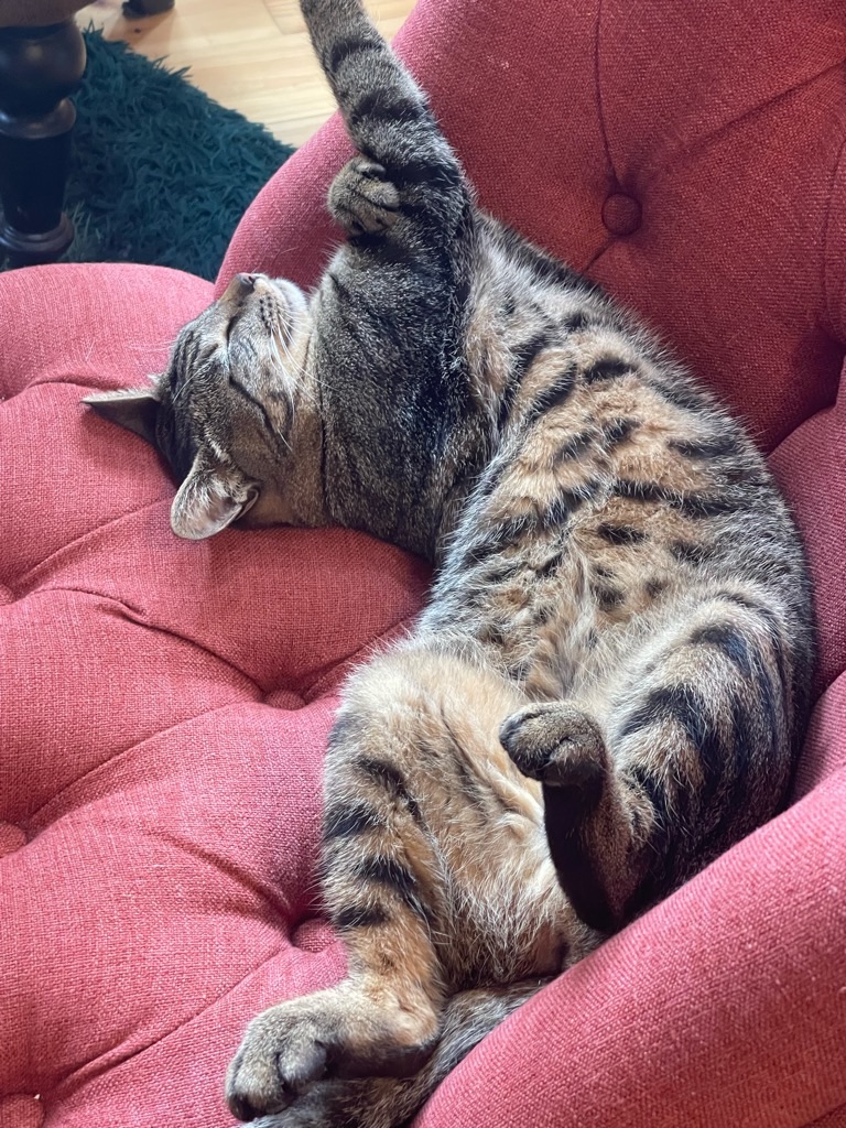 f:id:zappa38:20230914201454j:image