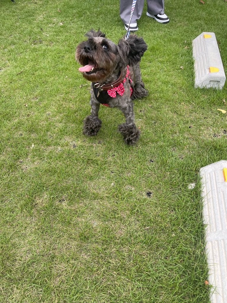 f:id:zappa38:20230914201503j:image