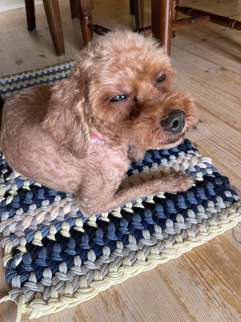 f:id:zappa38:20230914201905j:image